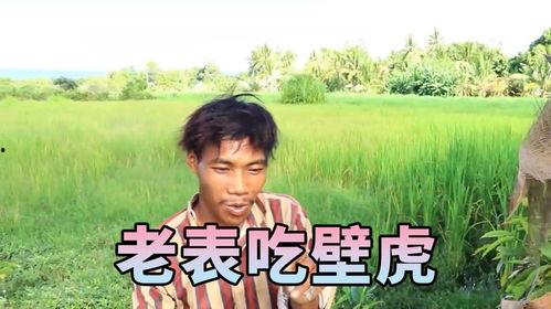 越南老表吃瓜,揭秘东南亚独特的饮食文化