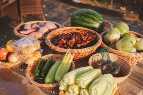 吃瓜公社,网络舆论场中的“瓜田”风云