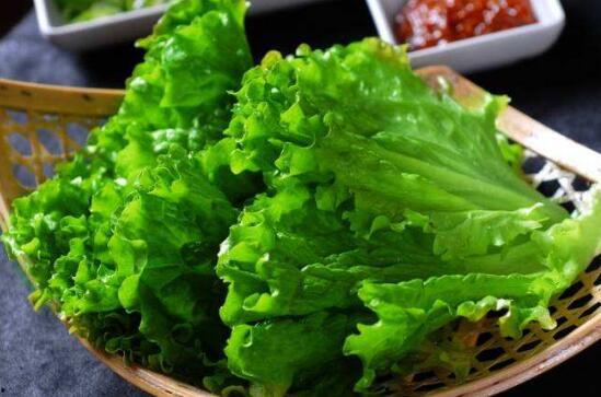 吃生菜可以吃哈密瓜吗,健康搭配的饮食新主张