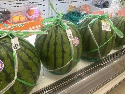 全网吃瓜日,揭秘“吃瓜日”背后的狂欢与思考