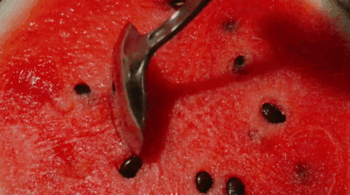 艺炫吃瓜,揭秘娱乐圈幕后故事