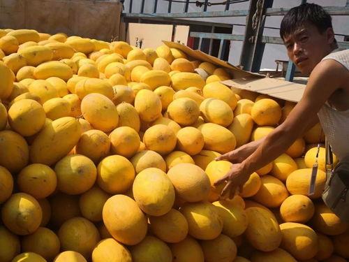 华华华吃瓜,揭秘娱乐圈幕后故事