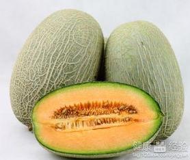 云涛吃哈密瓜,夏日甜蜜滋味尽在其中