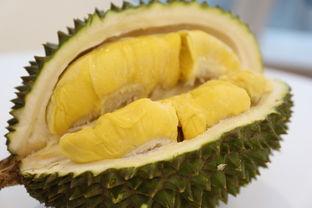 金李子瓜吃外壳吗,外壳也能美味？探索独特食用新风尚