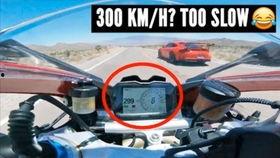 兰博吃瓜,揭秘娱乐圈幕后风云