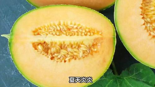 哈密瓜隔夜吃吗,安全与营养的双重考量
