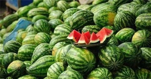 吃瓜完回什么信息,揭秘娱乐圈幕后真相