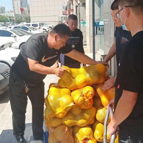 国乙吃瓜报道,揭秘娱乐圈背后的惊人真相