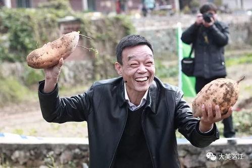 缅北条司令吃瓜,揭秘神秘势力背后的真相