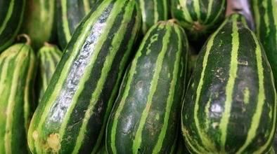 减肥吃梢瓜吗,天然低脂美食的选择