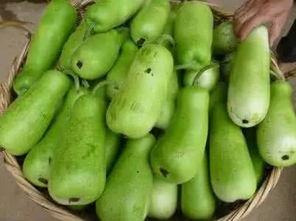 孕晚期吃葫芦瓜,营养美味，助力母婴健康