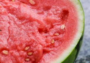 回家吃麒麟瓜好吗,回家品尝美味佳肴