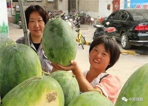 武陟小区吃瓜事件,邻里纷争背后的社区治理难题