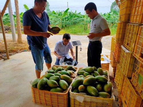 广东清远吃瓜,探寻广东清远的特色美食之旅