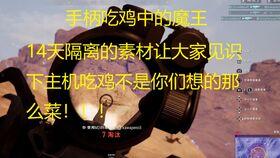 呆瓜动画吃鸡,欢乐吃鸡大作战