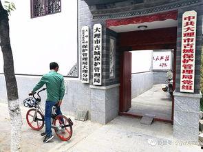 城管抓走吃瓜群众,吃瓜群众遭遇不测