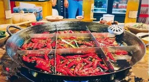 料理猫王吃瓜火锅