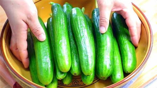 金钱瓜怎么吃最好,解锁美味新境界