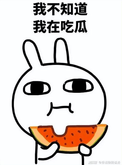 瓜瓜吃瓜p图,揭秘网络恶搞背后的趣味与争议