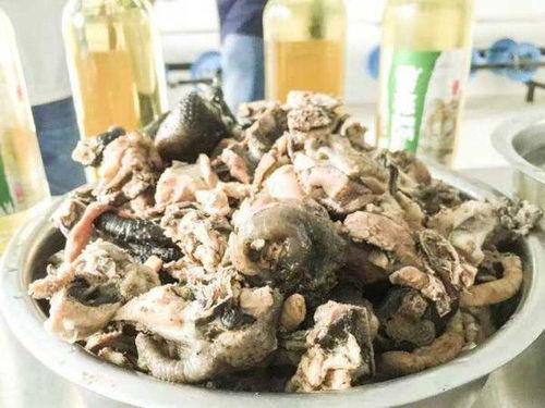 西昌ct吃瓜,揭秘背后的真相与争议