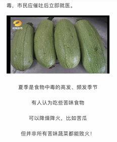 梦见进小瓜地里摘瓜吃,小瓜地里摘瓜的奇幻之旅