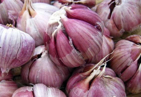 康县吃瓜老头,揭秘乡村生活的趣味与智慧