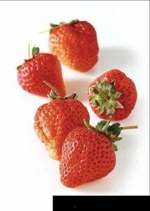 立夏群众吃瓜视频,全民共享瓜果盛宴