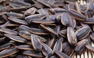 瓜子瓜可以吃吗,美味还是危险？揭秘能否食用之谜