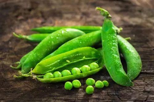 吃豆吃瓜,探寻美食与生活的趣味之旅