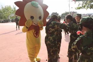 吃瓜向左走,左走，开启你的趣味探索之旅