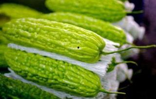 孕妇可以吃大棚瓜吗