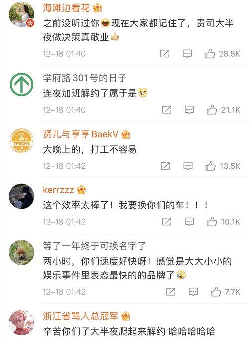 带你吃瓜奇葩故事下载,带你领略“带你吃瓜奇葩故事”下载背后的奇闻轶事